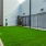 spacious grass area for pets to run in